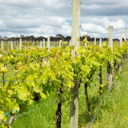 Silkwood Estate Βίλα Pemberton Εξωτερικό φωτογραφία