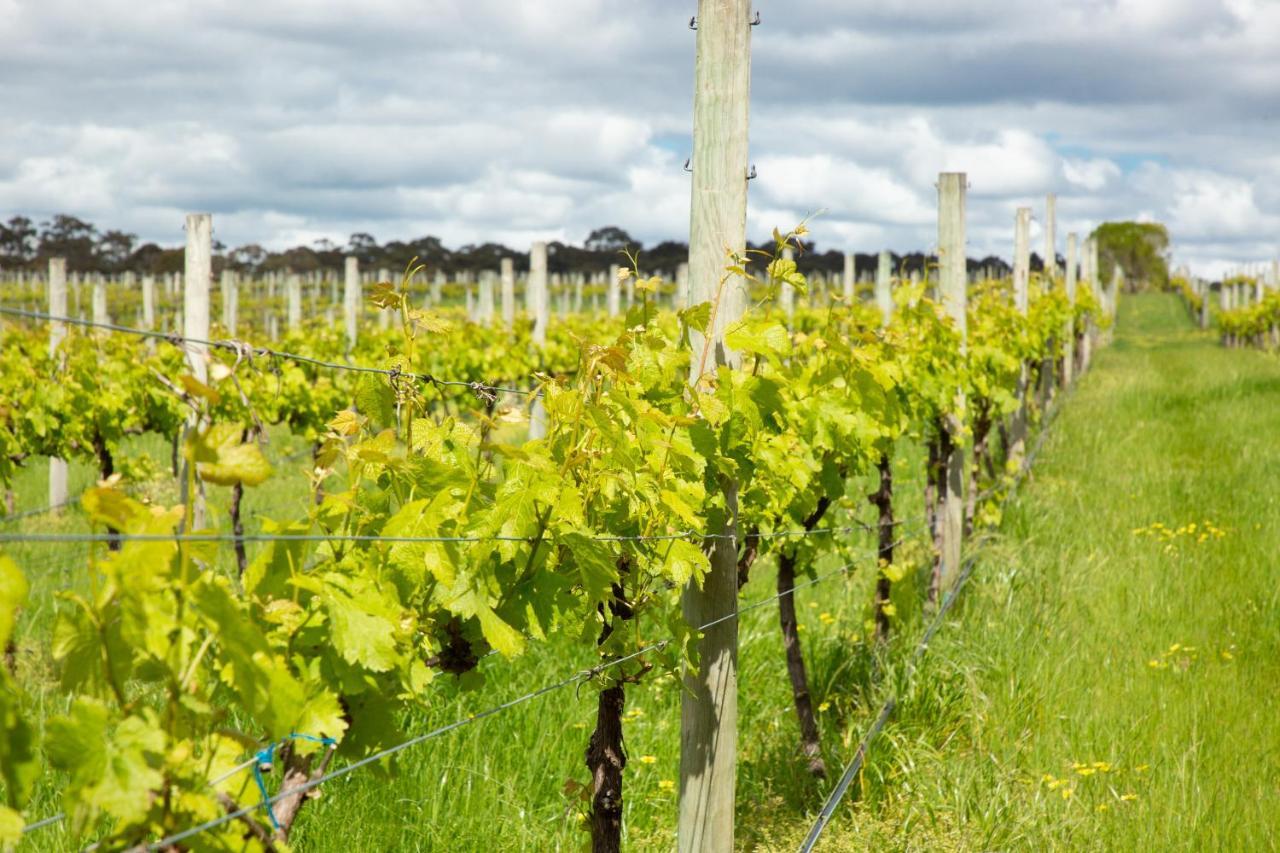 Silkwood Estate Βίλα Pemberton Εξωτερικό φωτογραφία